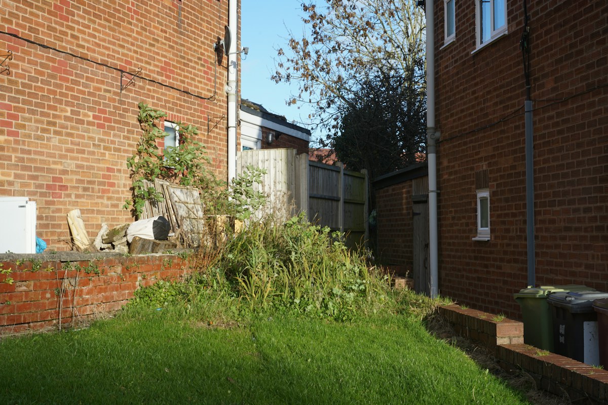 Overgrown backyard with tall weeds and an untidy side area